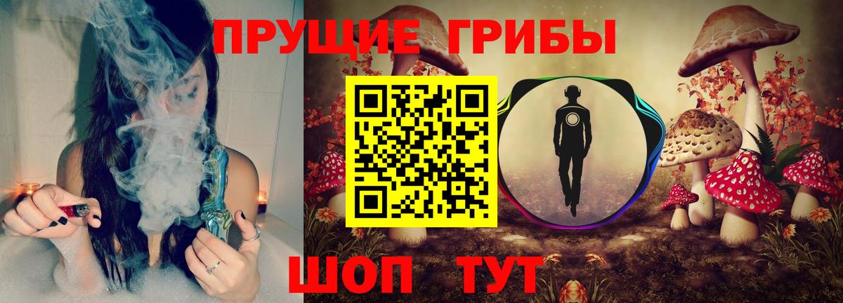 Псилоцибиновые грибы GOLDEN TEACHER Челябинск